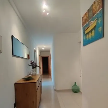 Reysar * מוחיה
